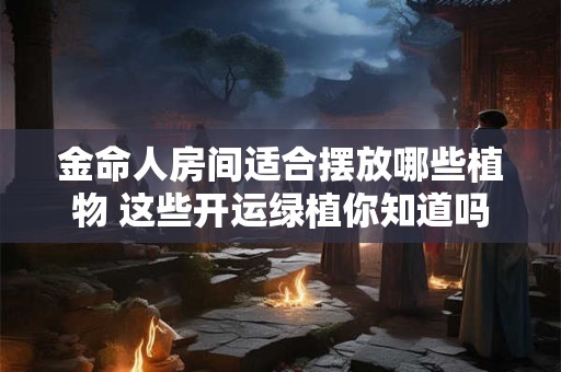 金命人房间适合摆放哪些植物 这些开运绿植你知道吗