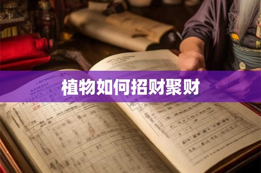 植物如何招财聚财