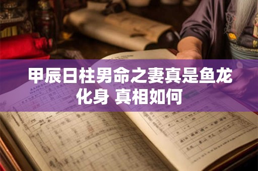 甲辰日柱男命之妻真是鱼龙化身 真相如何