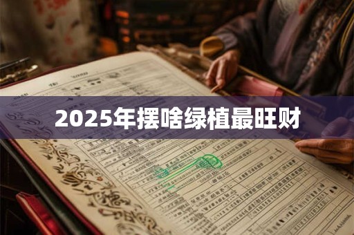 2025年摆啥绿植最旺财