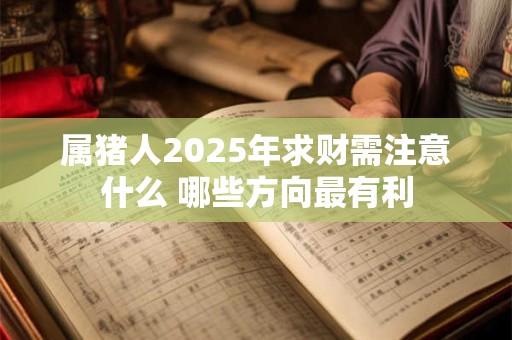 属猪人2025年求财需注意什么 哪些方向最有利