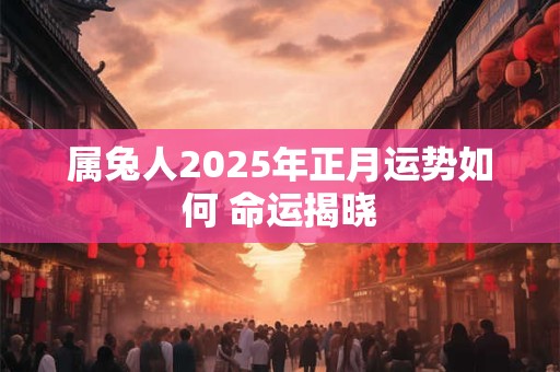 属兔人2025年正月运势如何 命运揭晓