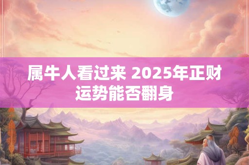 属牛人看过来 2025年正财运势能否翻身