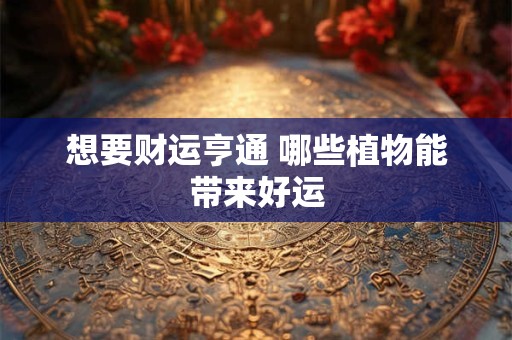 想要财运亨通 哪些植物能带来好运