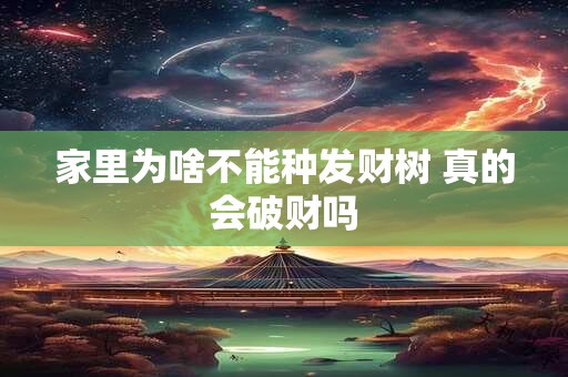 家里为啥不能种发财树 真的会破财吗