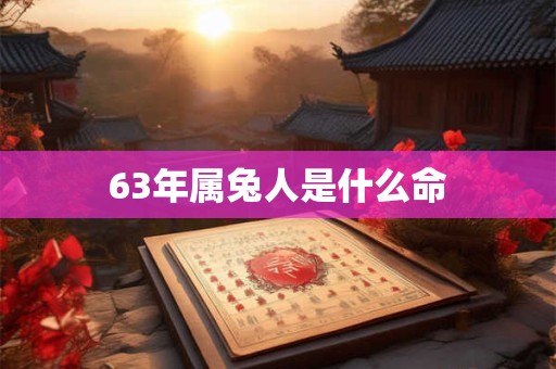 63年属兔人是什么命