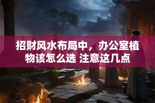 招财风水布局中，办公室植物该怎么选 注意这几点