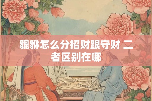 貔貅怎么分招财跟守财 二者区别在哪