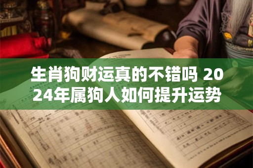 生肖狗财运真的不错吗 2024年属狗人如何提升运势