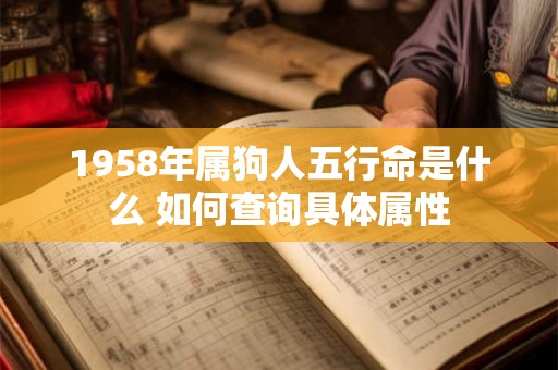 1958年属狗人五行命是什么 如何查询具体属性