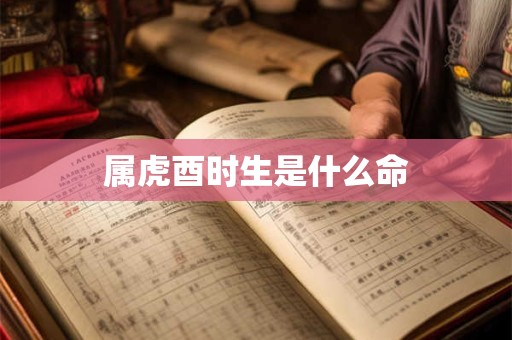 属虎酉时生是什么命
