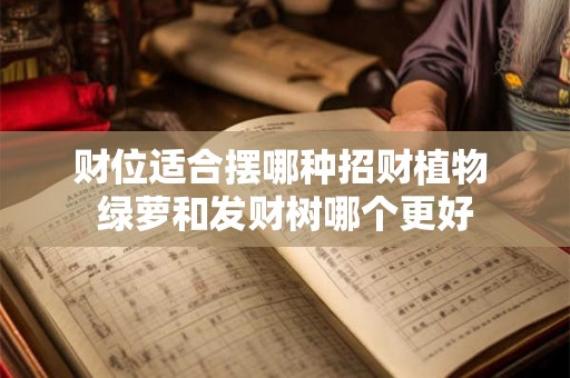 财位适合摆哪种招财植物 绿萝和发财树哪个更好