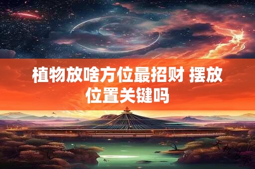 植物放啥方位最招财 摆放位置关键吗