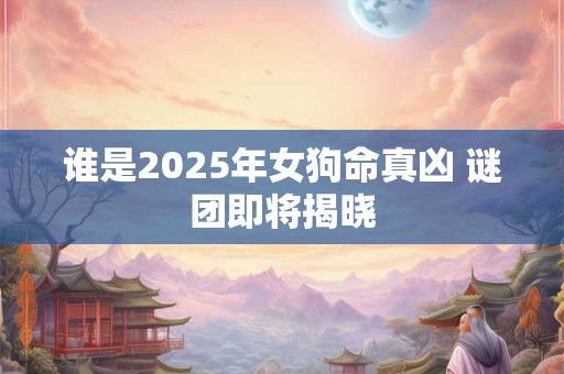 谁是2025年女狗命真凶 谜团即将揭晓