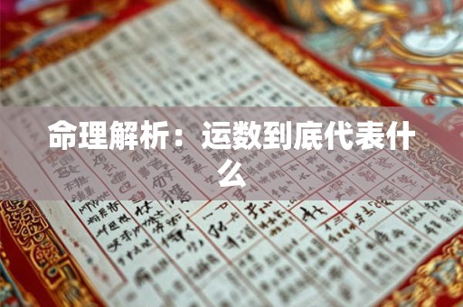 命理解析：运数到底代表什么