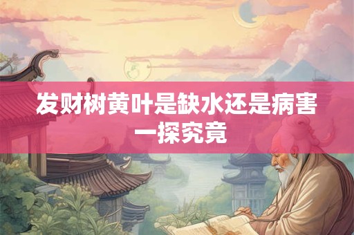 发财树黄叶是缺水还是病害 一探究竟