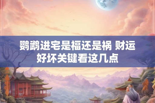 鹦鹉进宅是福还是祸 财运好坏关键看这几点