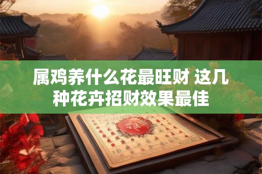 属鸡养什么花最旺财 这几种花卉招财效果最佳