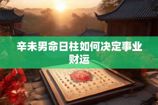 辛未男命日柱如何决定事业财运