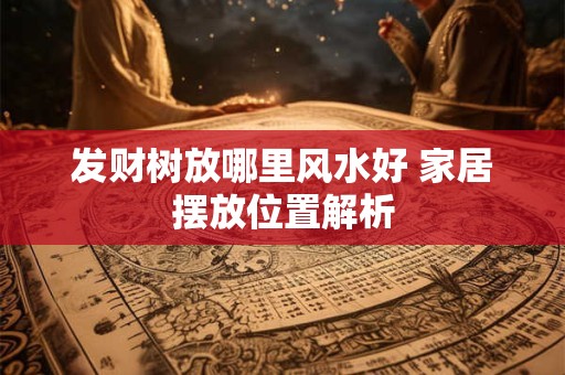 发财树放哪里风水好 家居摆放位置解析