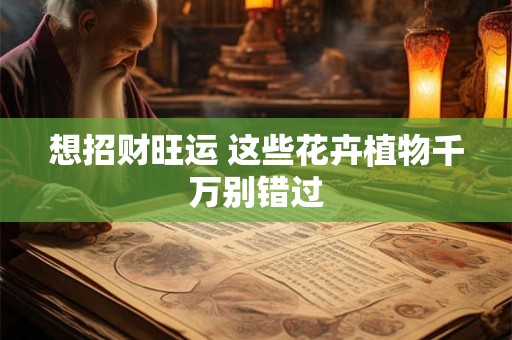 想招财旺运 这些花卉植物千万别错过