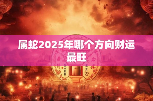 属蛇2025年哪个方向财运最旺