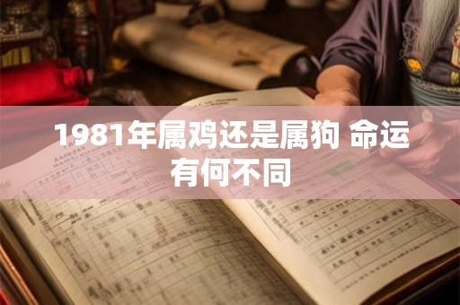 1981年属鸡还是属狗 命运有何不同