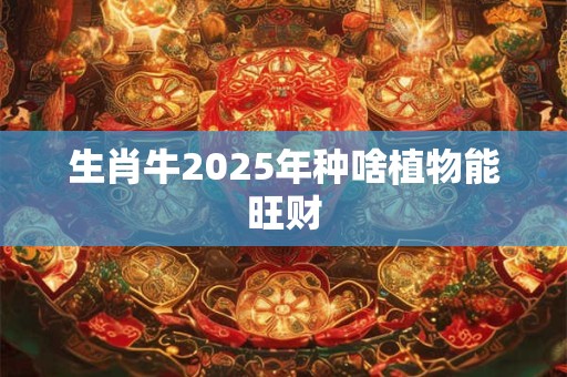生肖牛2025年种啥植物能旺财