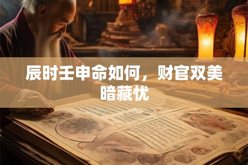 辰时壬申命如何，财官双美暗藏忧