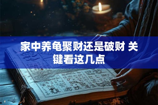 家中养龟聚财还是破财 关键看这几点