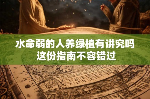 水命弱的人养绿植有讲究吗 这份指南不容错过