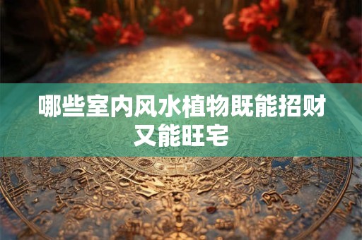 哪些室内风水植物既能招财又能旺宅