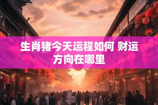 生肖猪今天运程如何 财运方向在哪里