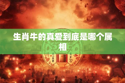 生肖牛的真爱到底是哪个属相