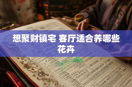 想聚财镇宅 客厅适合养哪些花卉