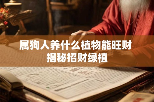 属狗人养什么植物能旺财 揭秘招财绿植