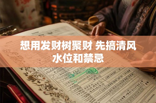 想用发财树聚财 先搞清风水位和禁忌