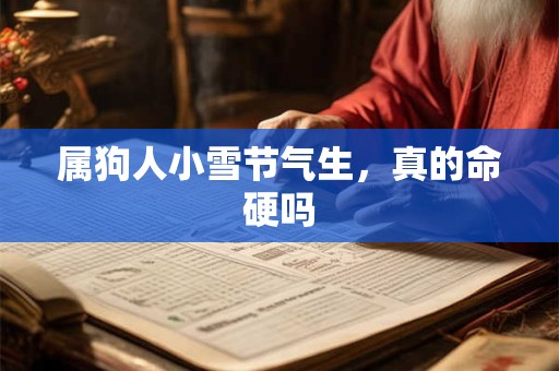 属狗人小雪节气生，真的命硬吗