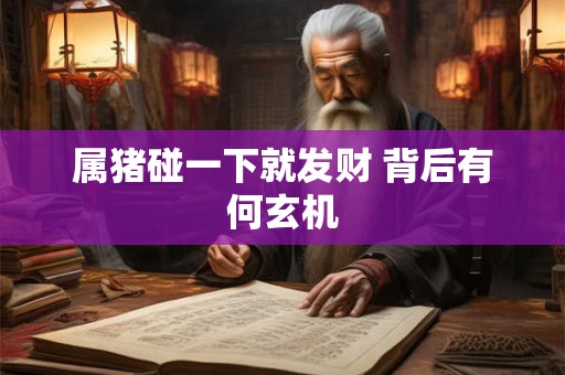 属猪碰一下就发财 背后有何玄机