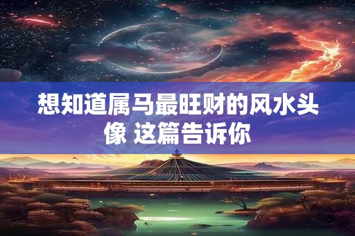 想知道属马最旺财的风水头像 这篇告诉你