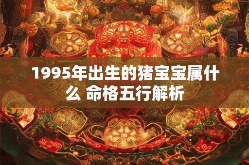 1995年出生的猪宝宝属什么 命格五行解析