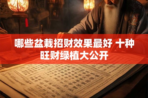 哪些盆栽招财效果最好 十种旺财绿植大公开 哪些盆栽招财效果最好 十种旺财绿植大公开