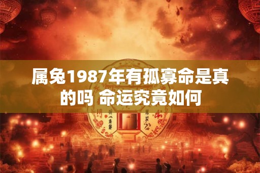 属兔1987年有孤寡命是真的吗 命运究竟如何