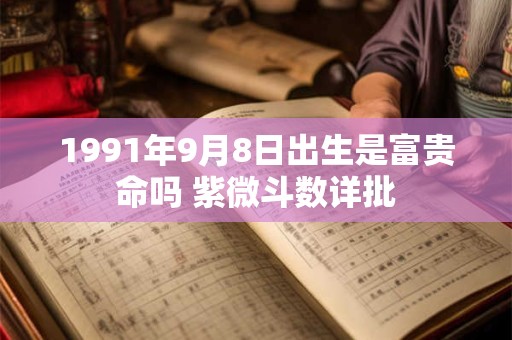1991年9月8日出生是富贵命吗 紫微斗数详批