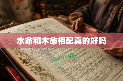 水命和木命相配真的好吗