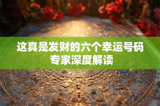 这真是发财的六个幸运号码 专家深度解读