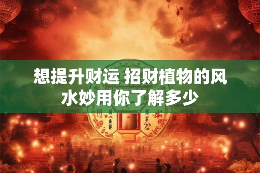 想提升财运 招财植物的风水妙用你了解多少
