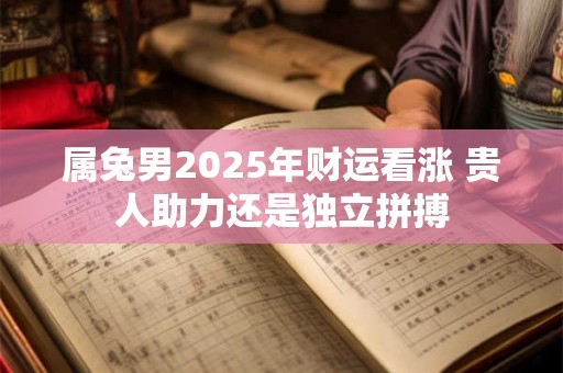 属兔男2025年财运看涨 贵人助力还是独立拼搏