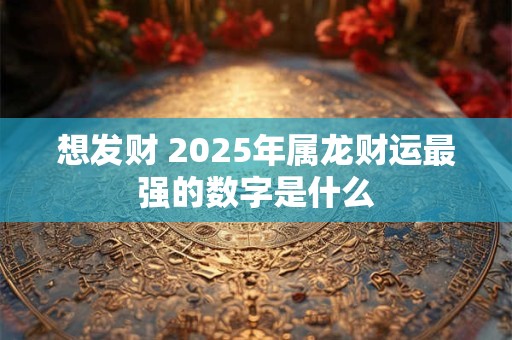 想发财 2025年属龙财运最强的数字是什么