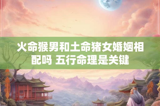 火命猴男和土命猪女婚姻相配吗 五行命理是关键